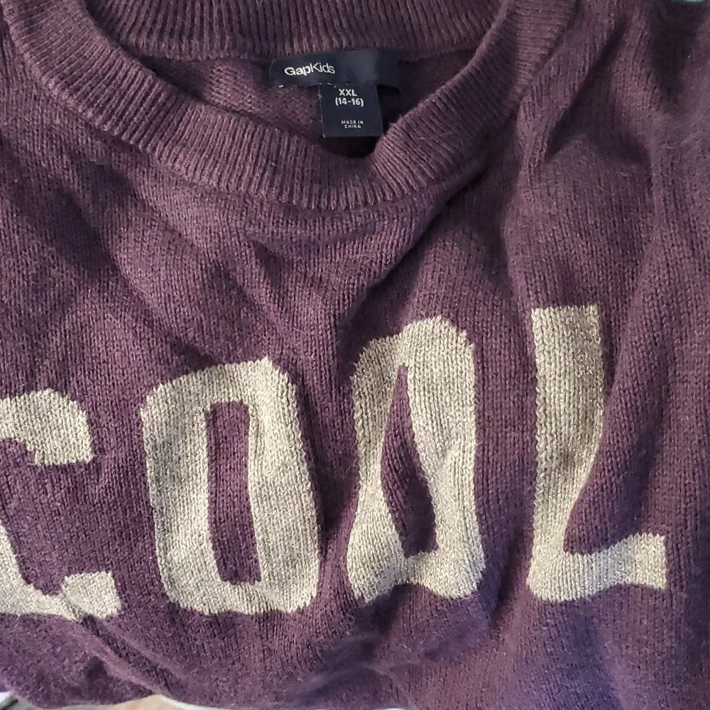 GAP Girls Purple Metallic COOL‎ Sweater Size 14-16